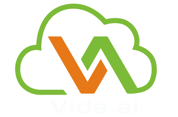 Vida